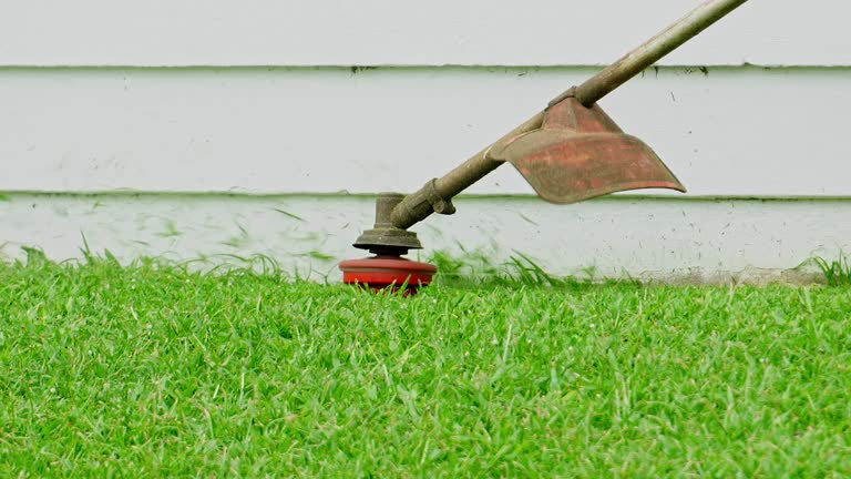 Best Lawn Drainage Solutions  in Horace, ND